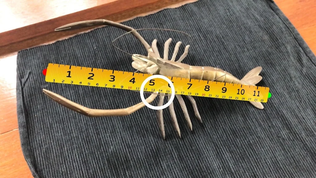 AirMeasure screenshot 3 of 11