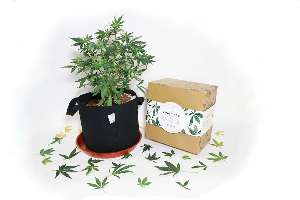 aPotforPot screenshot 3 of 6