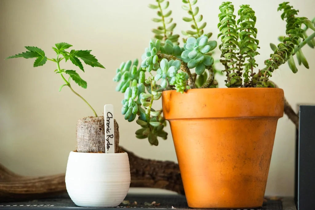 aPotforPot screenshot 6 of 6