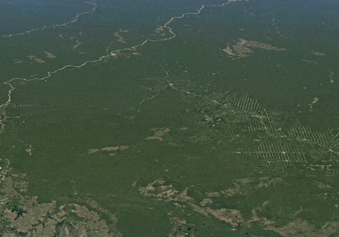 Ask Vin Anything screenshot 3 of 6