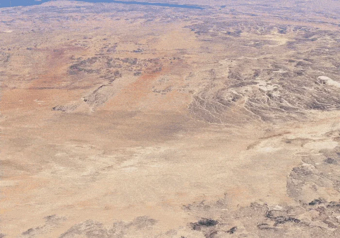 Ask Vin Anything screenshot 4 of 6