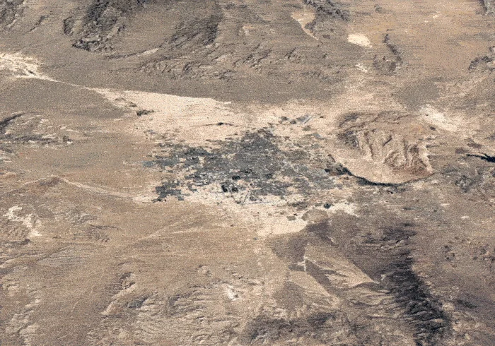 Ask Vin Anything screenshot 5 of 6