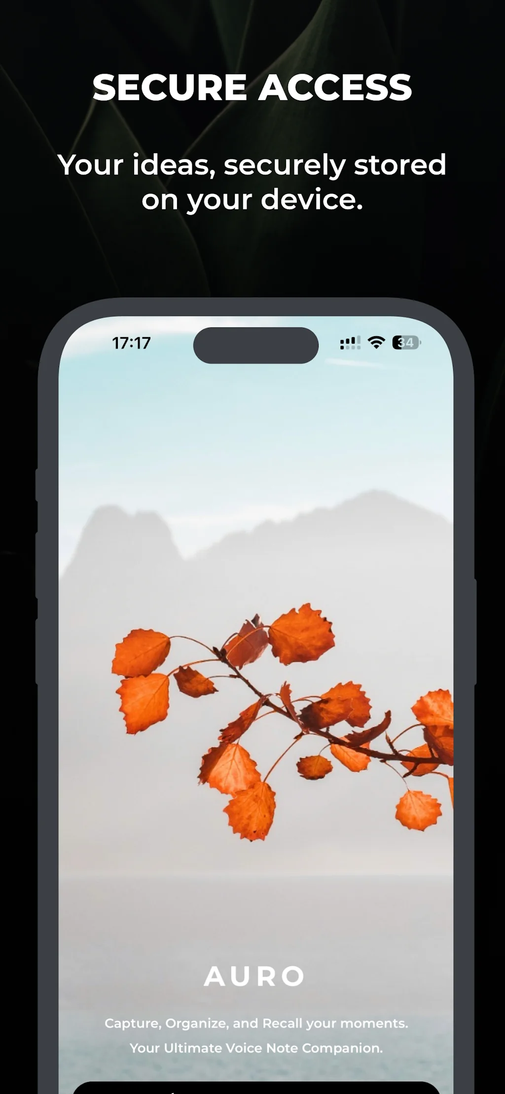 Auro screenshot 5 of 6