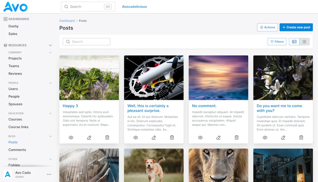 Avo CMS for Ruby on Rails screenshot 5 of 7