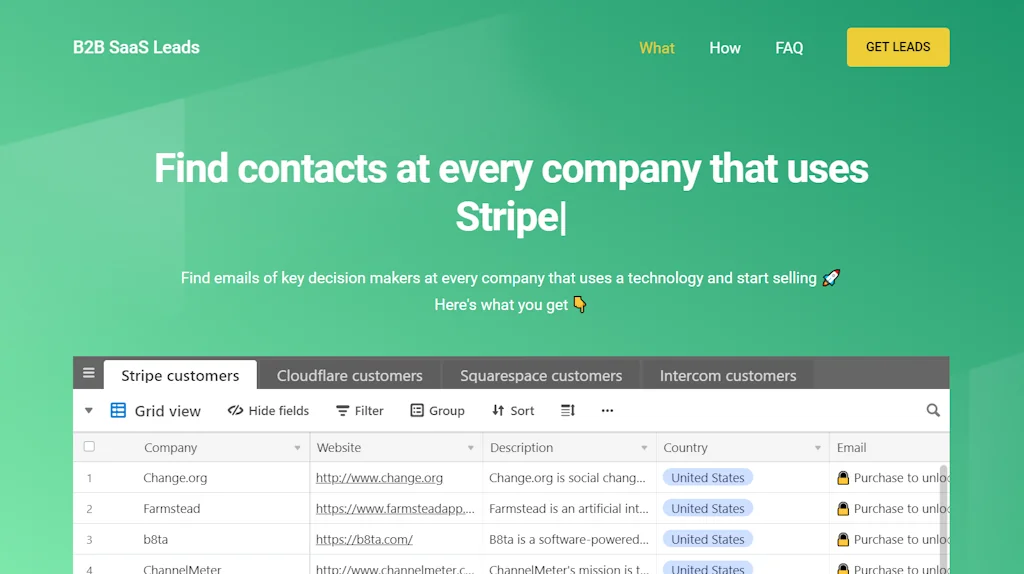 B2B SaaS Leads screenshot 1 of 2