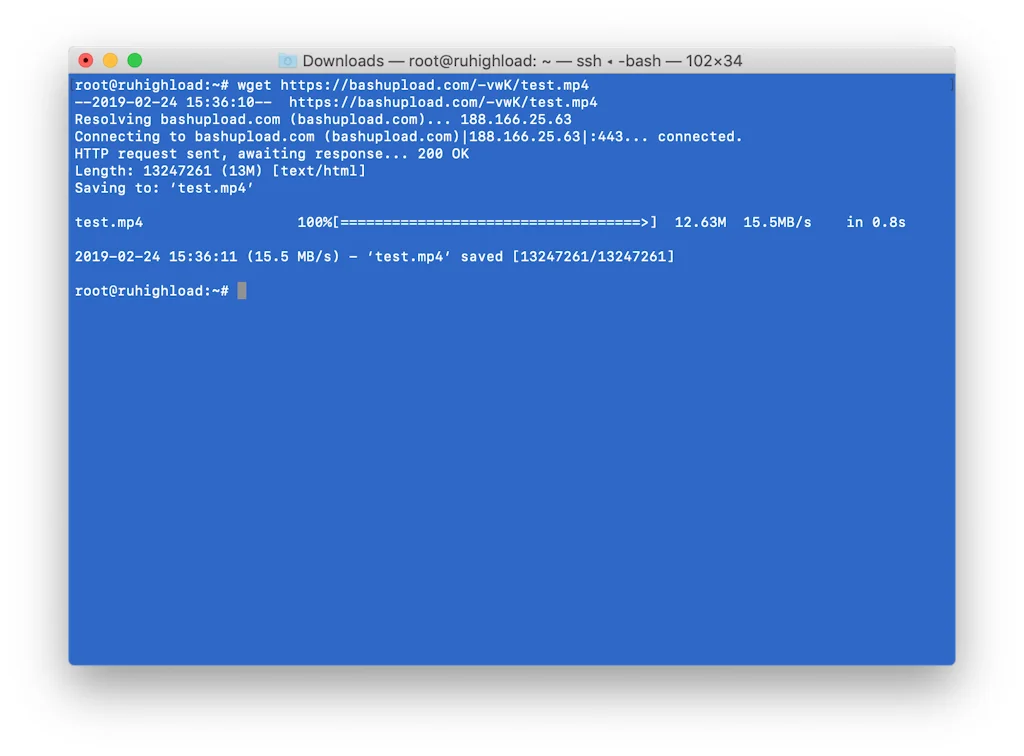 Bashupload screenshot 3 of 7