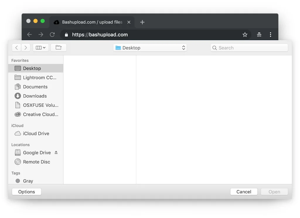 Bashupload screenshot 6 of 7