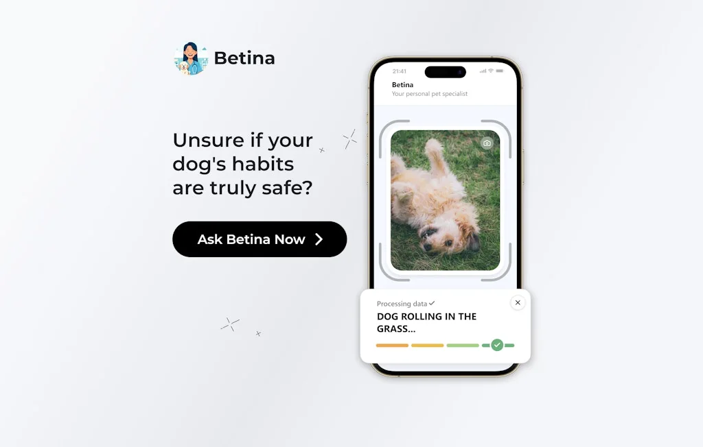 Betina screenshot 5 of 6