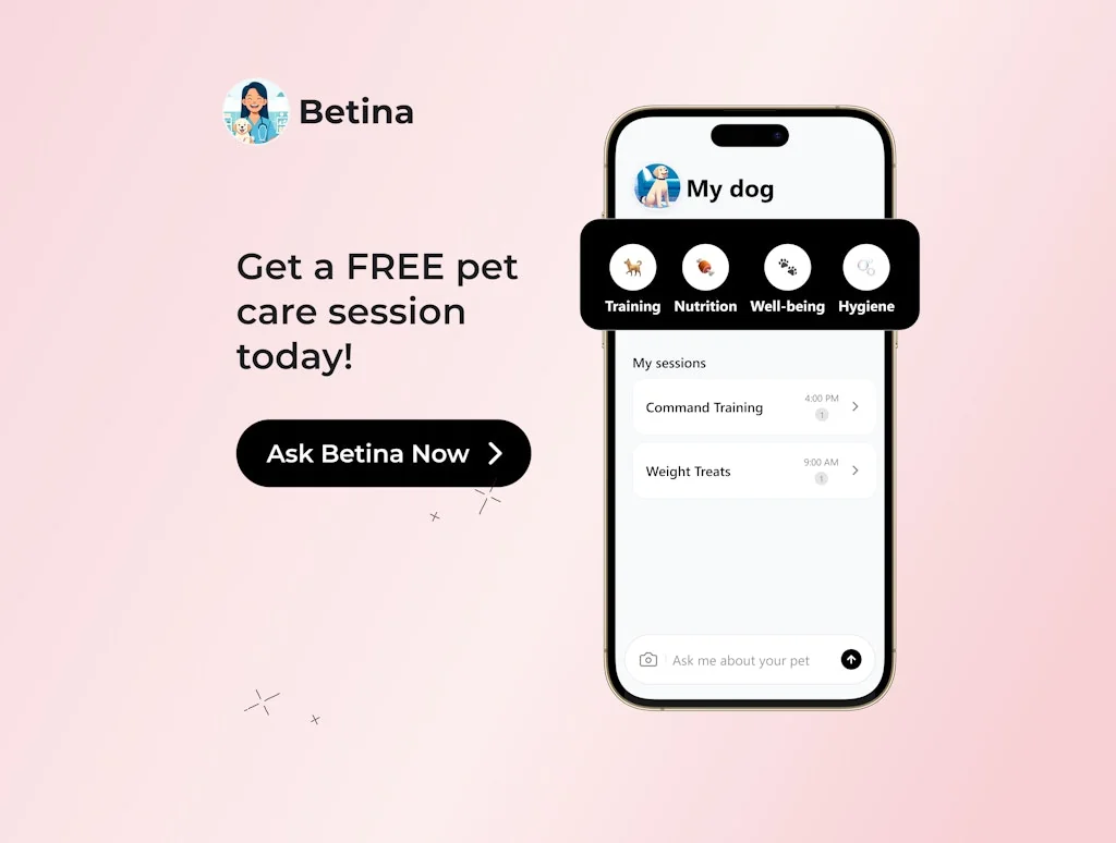 Betina screenshot 6 of 6