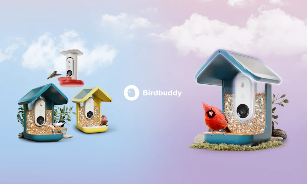 Bird Buddy screenshot 1 of 3
