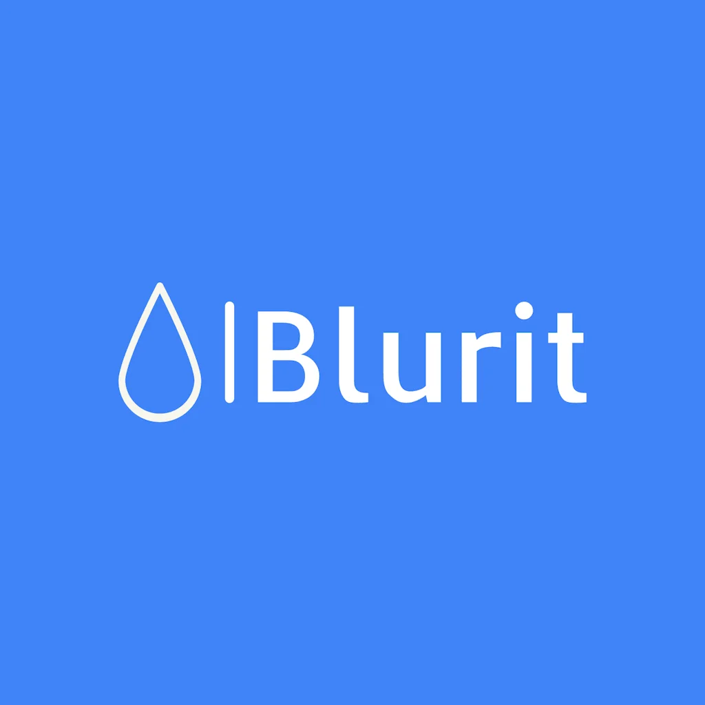 Blur It logo