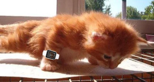 BodBot.com screenshot 1 of 4