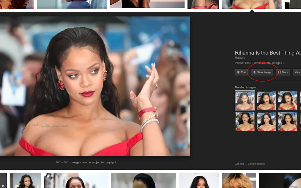 Bring Google View Image Back screenshot 3 of 3