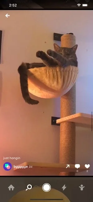 byte screenshot 2 of 4