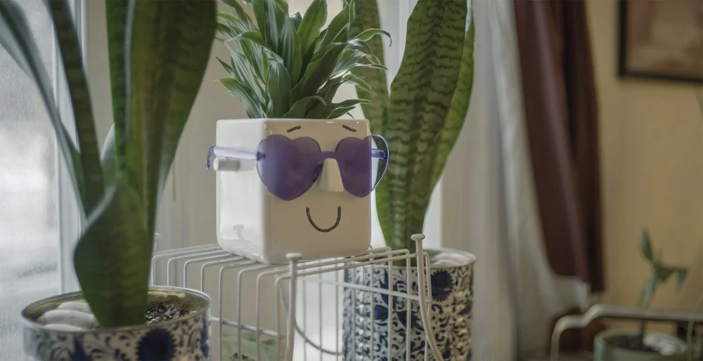 CARGO screenshot 5 of 5