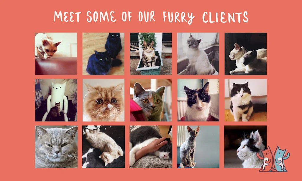 Cat in a Flat screenshot 2 of 5