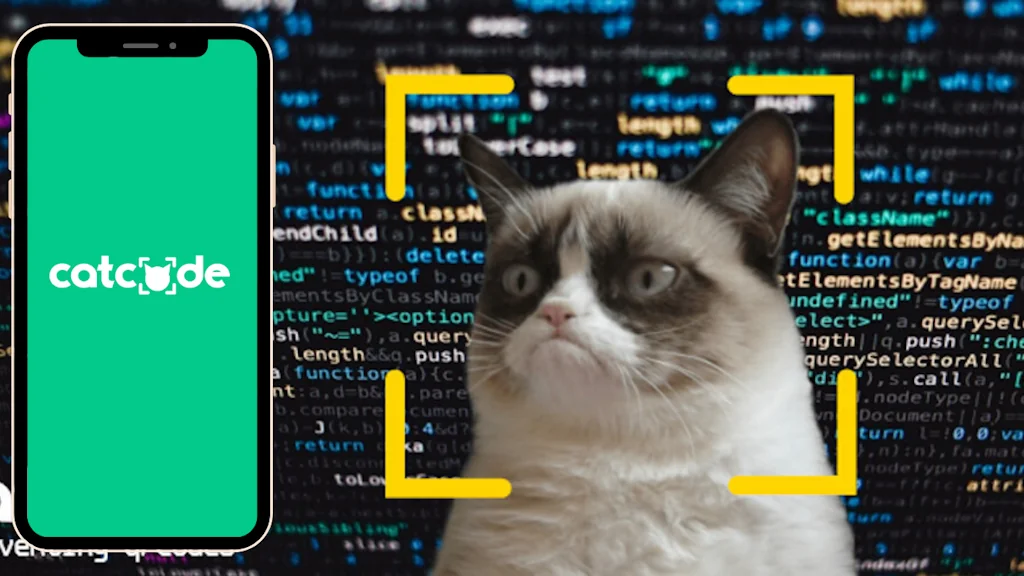 Catcode screenshot 4 of 6