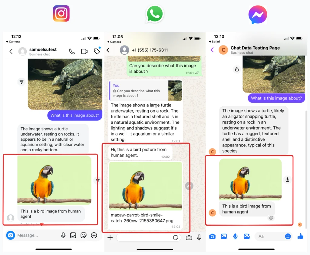Chat Data screenshot 8 of 10