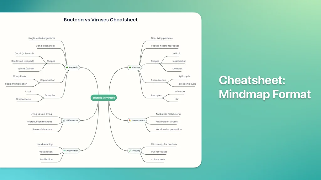 CheatSheet AI screenshot 3 of 6