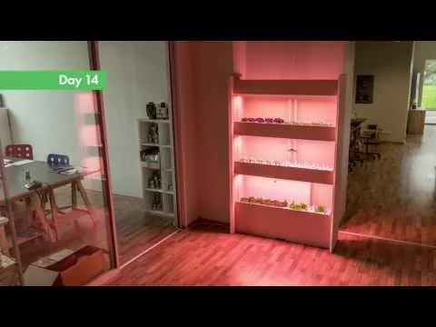 Click & Grow screenshot 2 of 8