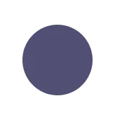 Color Palette Pro logo