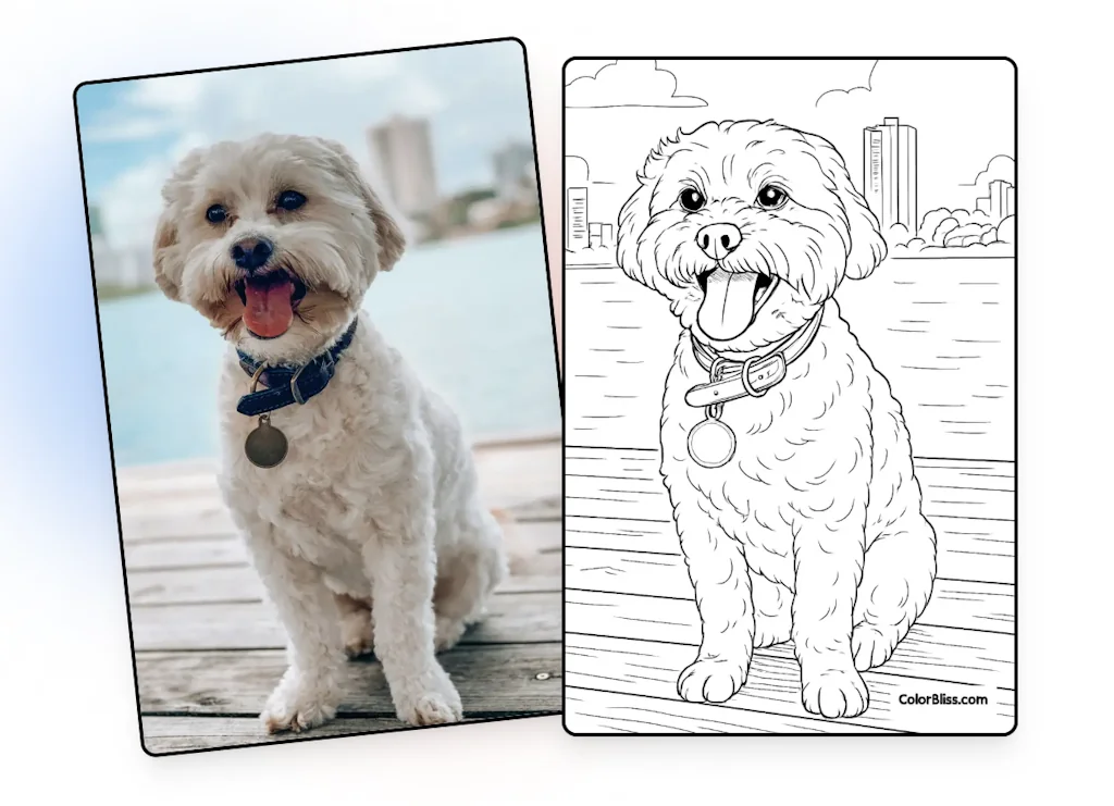 ColorBliss screenshot 4 of 4