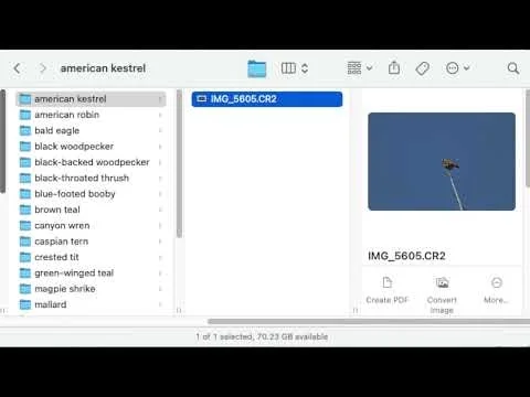 CrossPrism Photo Labeler for MacOS screenshot 1 of 4