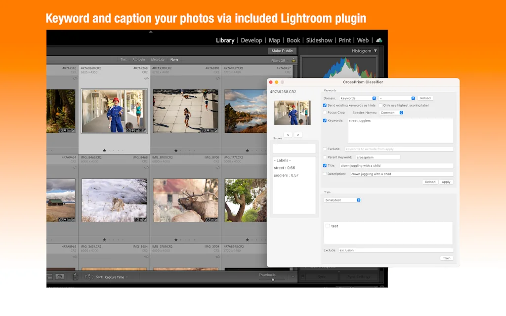 CrossPrism Photo Labeler for MacOS screenshot 3 of 4