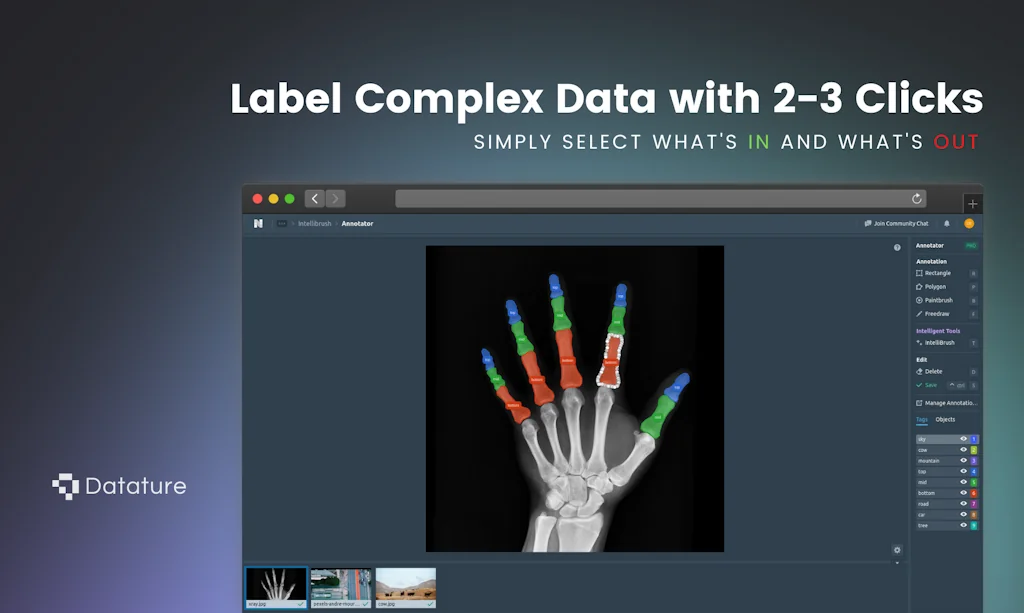 Datature screenshot 2 of 5