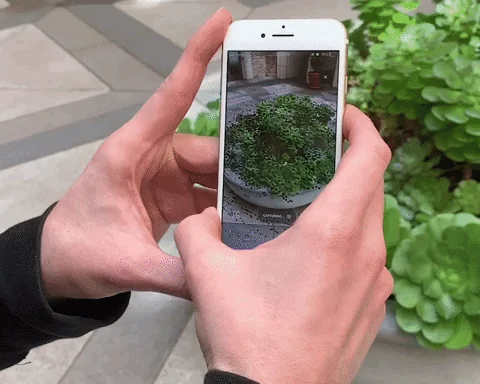 display.land screenshot 7 of 7