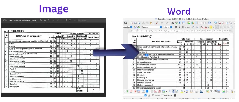 DocuTranslate screenshot 2 of 2
