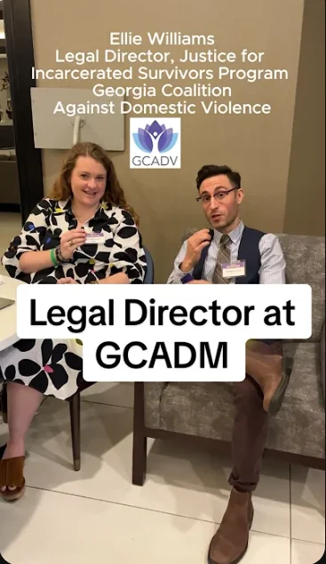 Domestic Violence Statute Matcher screenshot 9 of 11