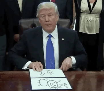 Donald Draws logo
