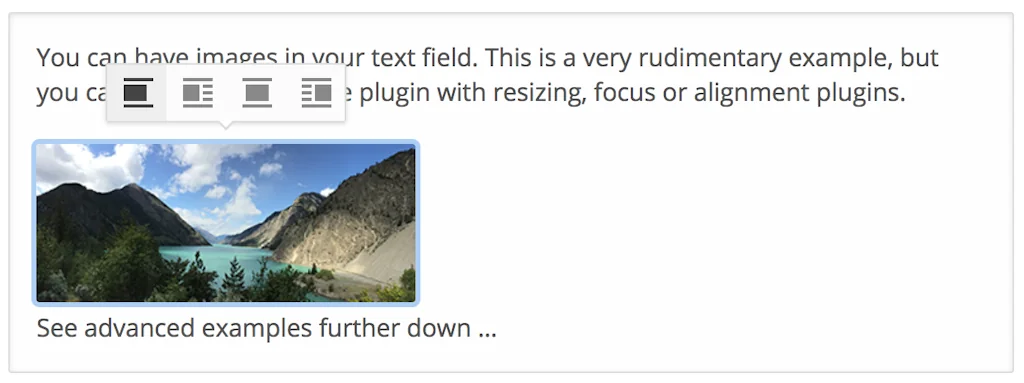 DraftJS Plugins 2.0 screenshot 1 of 2