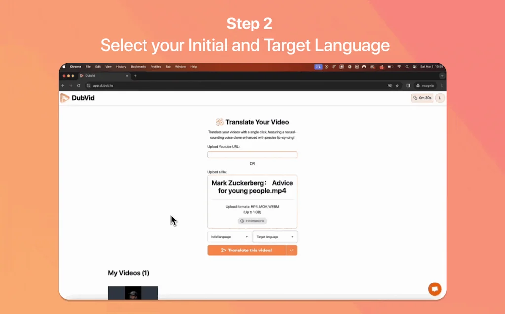 DubVid screenshot 4 of 6