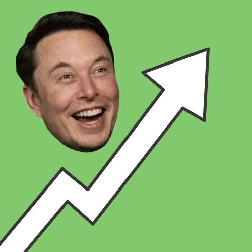 Elon Stocks logo