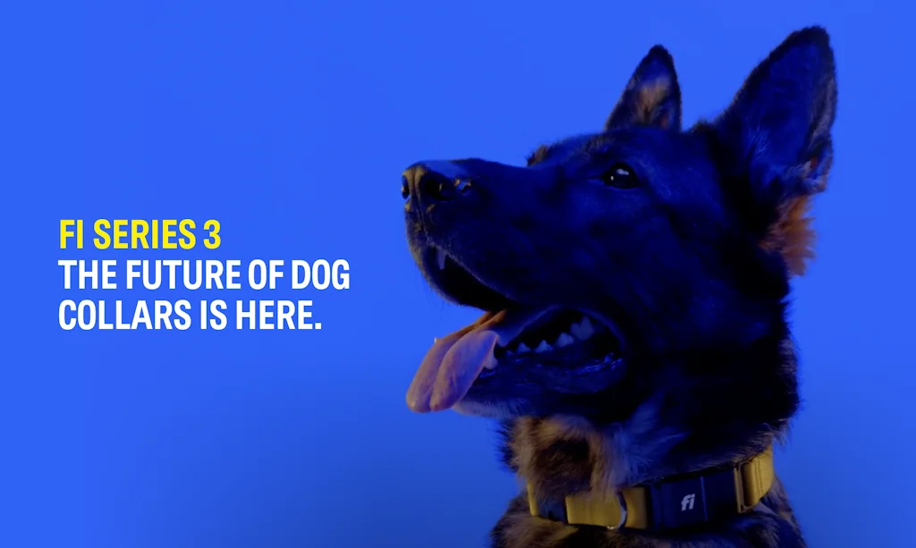 Fi Smart Dog Collar screenshot 2 of 4