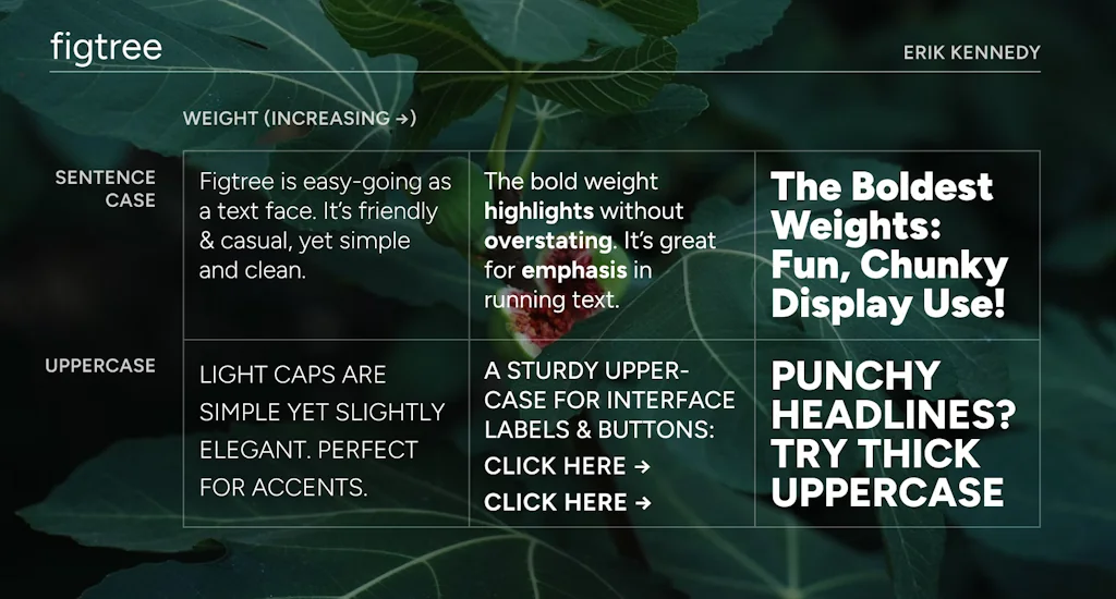 Figtree screenshot 3 of 4