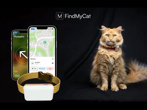 FindMyCat screenshot 1 of 7