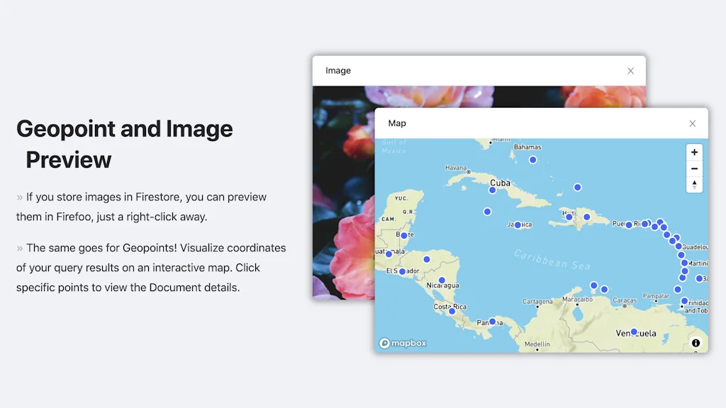 Firefoo screenshot 6 of 6