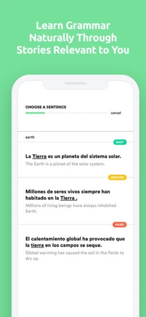 Fluent Forever screenshot 4 of 5