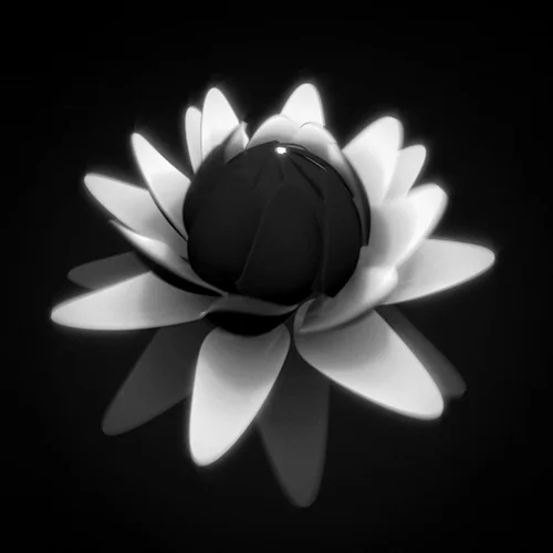 GIFMUSE screenshot 2 of 4