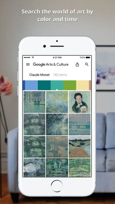 Google Arts & Culture screenshot 2 of 6