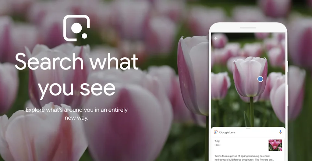 Google Lens screenshot 1 of 5