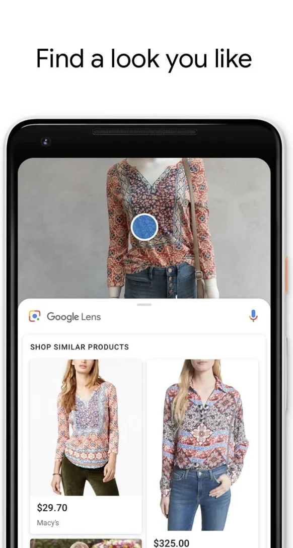 Google Lens screenshot 3 of 5