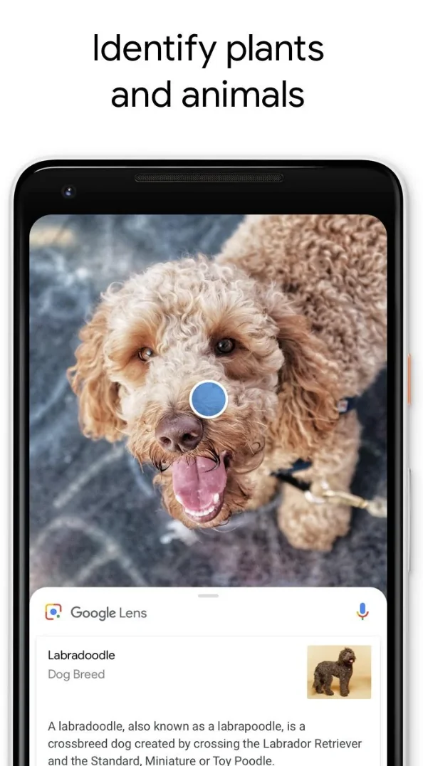 Google Lens screenshot 5 of 5