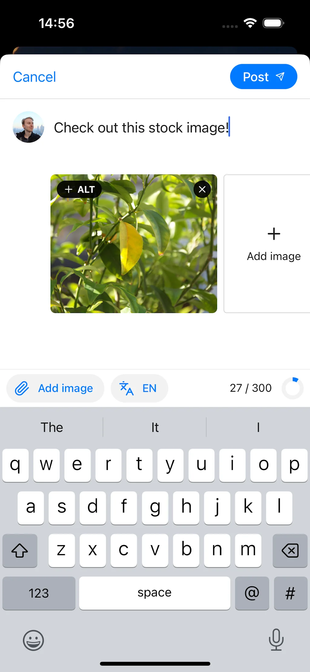 Graysky screenshot 5 of 6