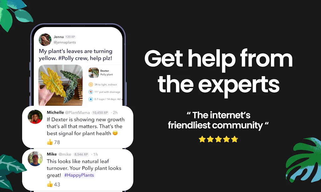 Greg 🌱 screenshot 4 of 6