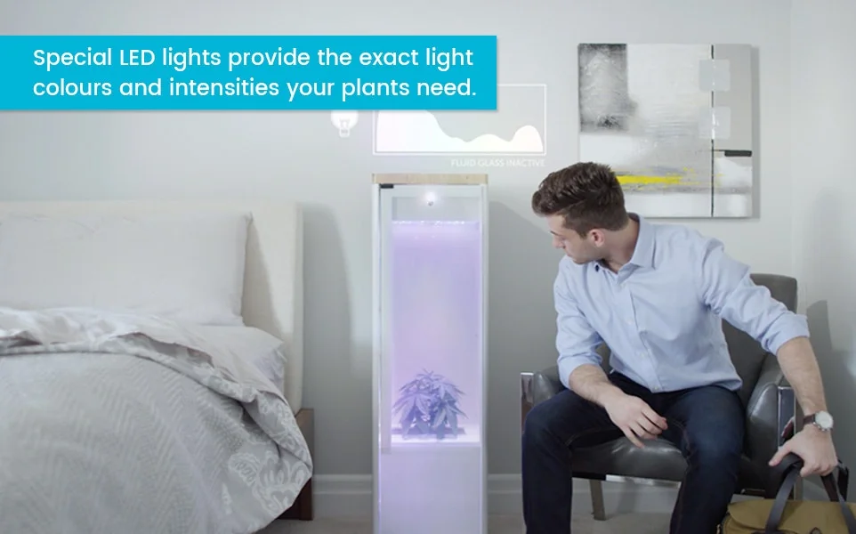 Grobo screenshot 5 of 8