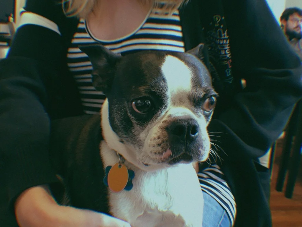 Gudak screenshot 3 of 10